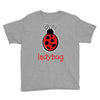 lady bug Youth Tee