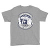 your authority is not recognized in fort kickass Youth Tee