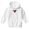 dr. harleen frances quinzel Youth Hoodie