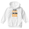 I Am Not Short I Am Fun Size Youth Hoodie