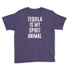 tequila is my spirit animal Youth Tee