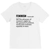 Feminism Noun V-Neck Tee