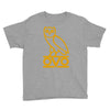 OWL-OVO Youth Tee