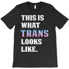 This is What Trans Looks Like T-Shirt