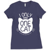 i only have one cat my cat has a few cat Ladies Fitted T-Shirt