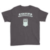 irish beathalyzer Youth Tee