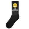 The Students Are Coming Socks