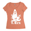 t Women's Triblend Scoop T-shirt