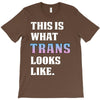 This is What Trans Looks Like T-Shirt