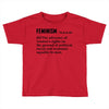 Feminism Noun Toddler T-shirt