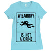 wizardry is not a crime Ladies Fitted T-Shirt