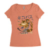 cat bus kong Women's Triblend Scoop T-shirt