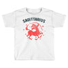 sagittarius zodiac Toddler T-shirt