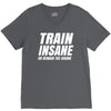 Train Insane Or Remain The Same V-Neck Tee