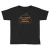 no i did not steal a pumpkin Toddler T-shirt