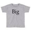 big (2) Toddler T-shirt