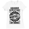 Aquarius Hated By Many Wanted By Plenty Ladies Fitted T-Shirt