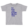 my cat was pight about you Toddler T-shirt