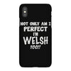 perfect welsh iPhoneX