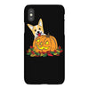 corgi pumpkin iPhoneX