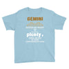 Gemini Hated By Many Wanted By Plenty Disliked By Some Confronted By N Youth Tee