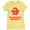 Do You Know De Wey Ladies Fitted T-Shirt