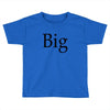 big (2) Toddler T-shirt
