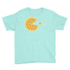 pizza pie chart Youth Tee