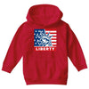liberty statue Youth Hoodie