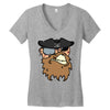 pirates face Women's V-Neck T-Shirt