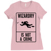 wizardry is not a crime Ladies Fitted T-Shirt