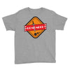 game remember six Youth Tee