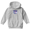 the internet Youth Hoodie
