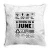 Born In June Throw Pillow