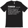 Feminism Noun T-Shirt
