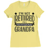 not retired but a professional grandpa Ladies Fitted T-Shirt