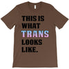 This is What Trans Looks Like T-Shirt
