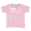 Feminist Noun Toddler T-shirt