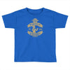 why would you put that on the internet Toddler T-shirt