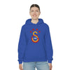 test Unisex Heavy Blend™ Hooded Sweatshirt
