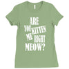 kitten me right now Ladies Fitted T-Shirt