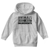 Animals Are Not Ingredients Youth Hoodie