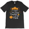 i teach the cutest pumpkins in the patch T-Shirt