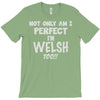 perfect welsh T-Shirt