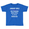 January Girls Toddler T-shirt
