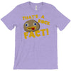 rock fact T-Shirt