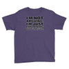 i'm not arguing Youth Tee