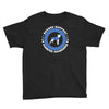 boxers support diabetes awareness Youth Tee