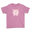 cute surprised pig pig Youth Tee
