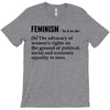 Feminism Noun T-Shirt